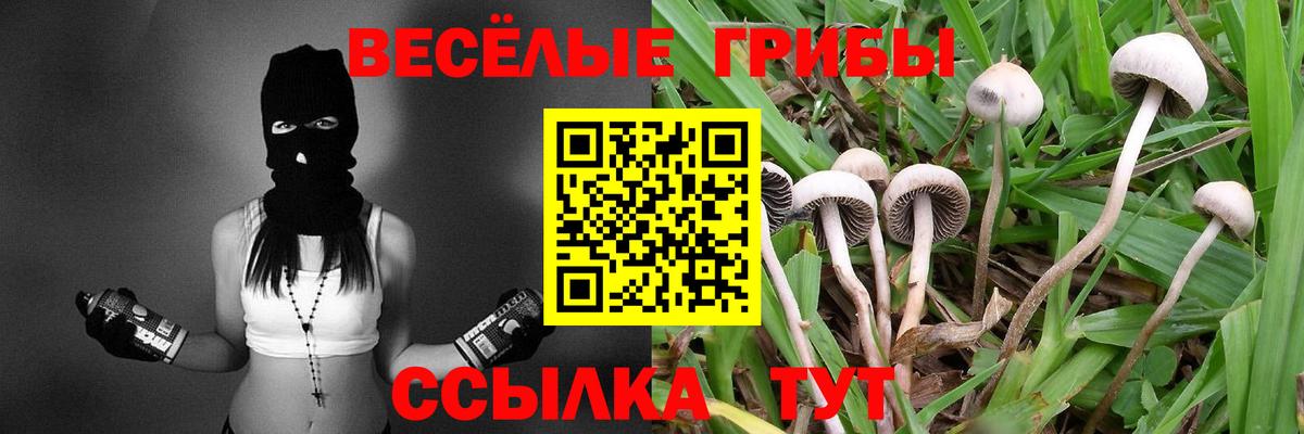 Асбест  Галлюциногенные грибы Psilocybe  Вход с VPN 
